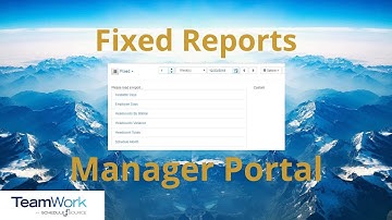TeamWork 5 Manager Tutorial: How to View Fixed Reports