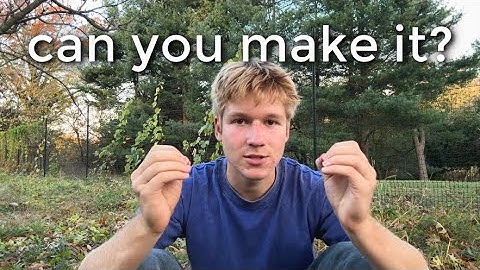 test your attention span (in 59 seconds)