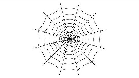 How to Draw a Spider Web in Adobe Illustrator