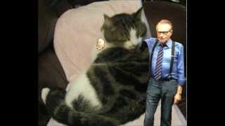 Rudolph The Red-Nosed Reindeer Reversed