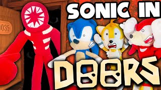 Sonic in Roblox Doors! - Sonic and Friends