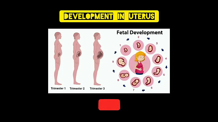 😍#short #pregnancy #pregnant #biology #doctor #gynecologist #fetus