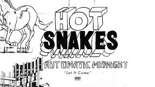 Video thumbnail of "Hot Snakes - Let It Come"