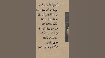 تلاوة مريحة بصوت ياسر الدوسري #قران_كريم #قرآن #ياسر_الدوسري #تلاوة_خاشعة #تلاوة_هادئة