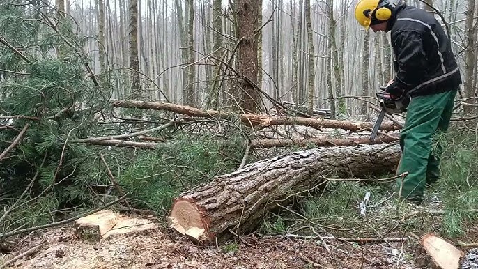 Souffleur a feuilles DORSAL à batterie Stihl BGA300 **EN RUPTURE