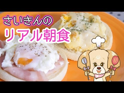 What レシピ アプリ 作成