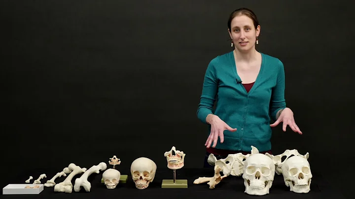 Bioarchaeology Basics with Julie Weatherwax and Li...