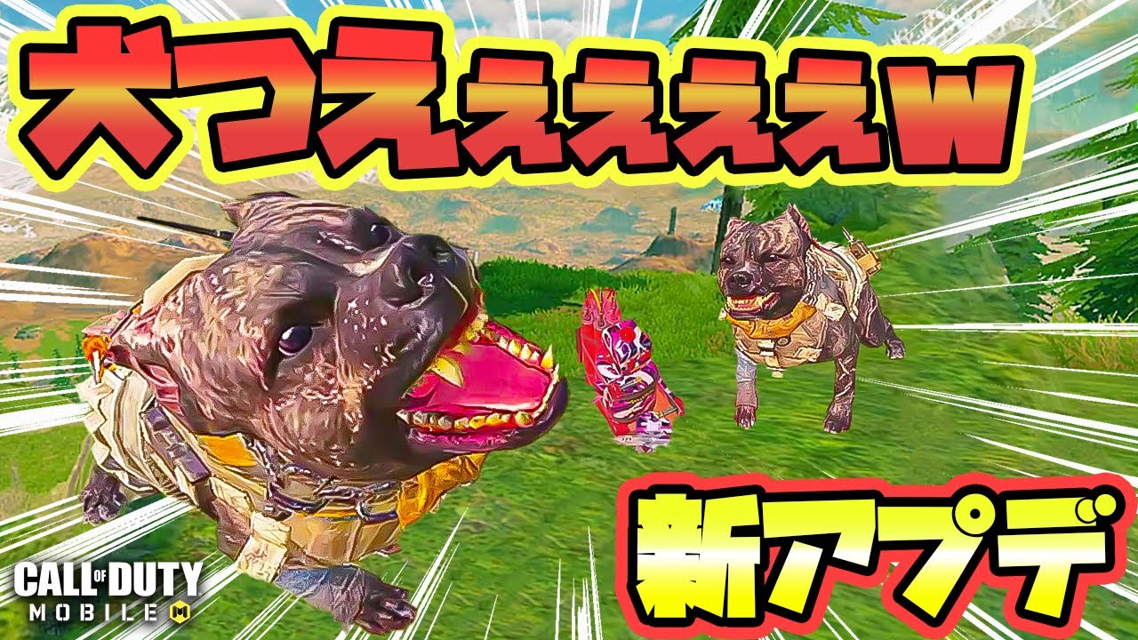 Codモバイル バトロワ 新アプデ来たぁぁぁｗ クラス ピエロの犬がクソ強すぎワロタｗ 高ティア ﾟ ﾟ ｷﾀｺﾚ Solo Vs Squads Codm Br Youtube