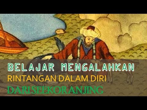 belajar-mengalahkan-rintangan-dalam-diri-dari-seekor-anjing