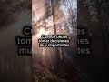 Magia con Salmos-Salmo 38 tomar decisiones y recibir respuestas en sueños #magia #Salmos #biblia