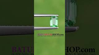 Natural Tsavorite (Garnet) 0.76 Carats