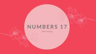 Numbers 17