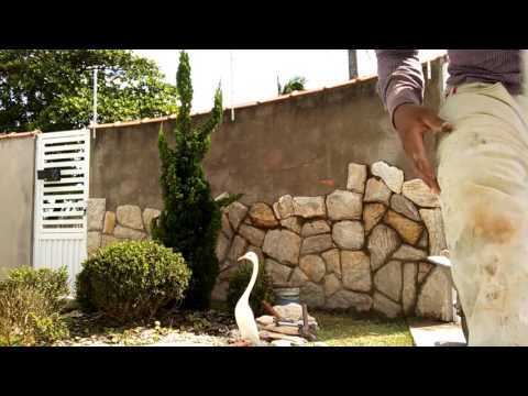 Vídeo: Como Fazer Madeira De Pedra