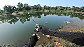 SNAKEHEAD FISHING IN THE RIVER USING A SOFT FROG LURE AND AN ULTRALIGHT BAITCASTING SETUP—THE SEN... screenshot 3