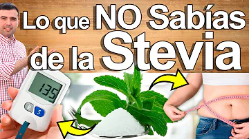 ¿Cuáles son las desventajas de la stevia?