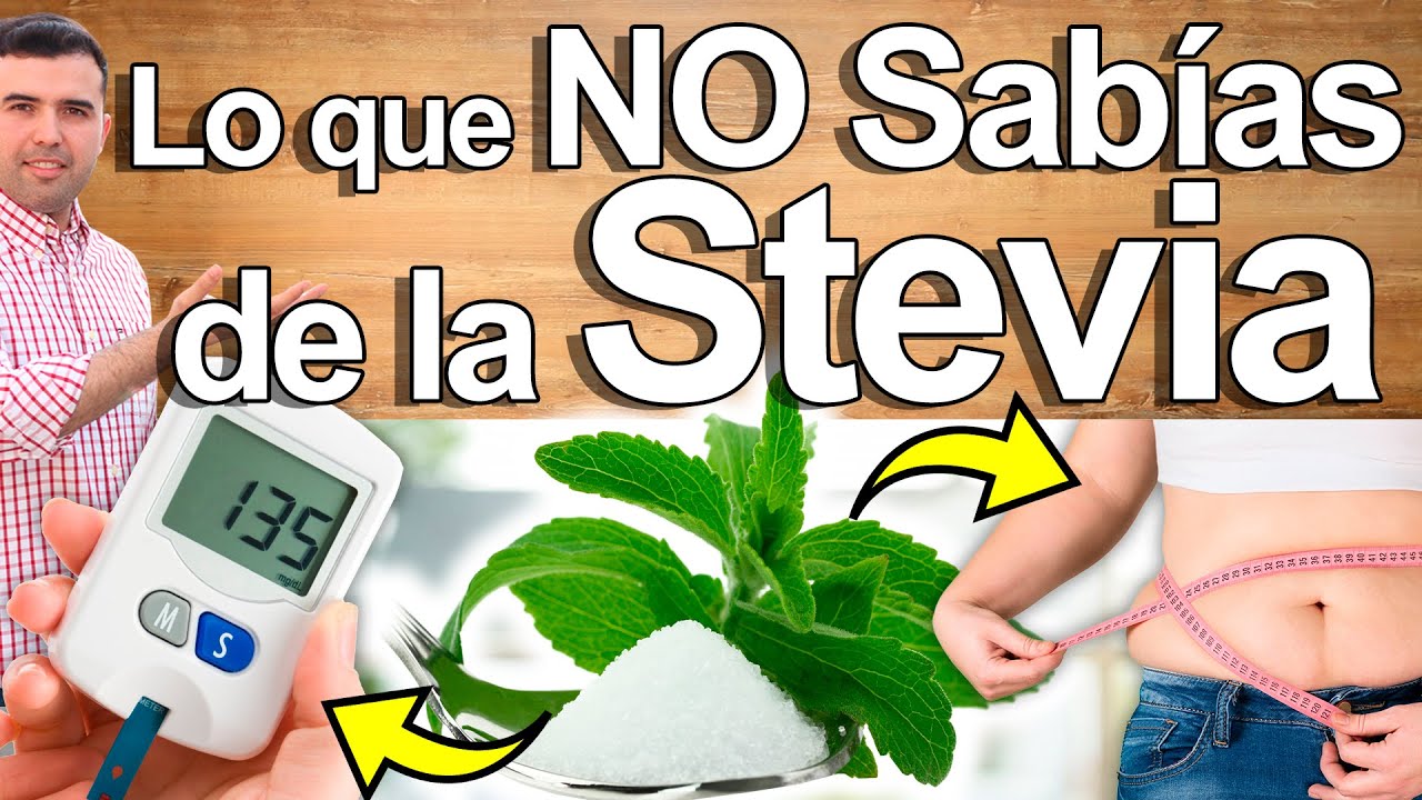 Lo Que No Te Cuentan De La Stevia - Para Qu� Sirve Y Contraindicaciones De La Estevia