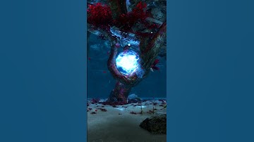 New Map Flythrough: Shipwreck Strand #shorts #guildwars2 #mmorpg