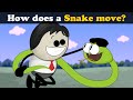 How do Snakes Move? + more videos | #aumsum #kids #science #education #children