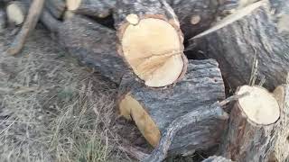 First Start & test Countyline 25 ton log splitter (for Dad)