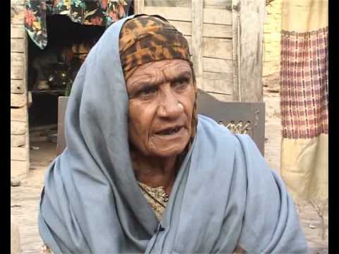 Pakistani Gypsy (Khana Badosh/ Pakhi Wass)