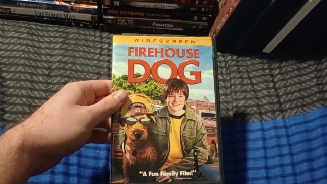 My Entire Movie Collection (2025 Edition) (F) (DVDs)