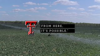 Strategic Research | Inside CURES with Danny Reible | Texas Tech University