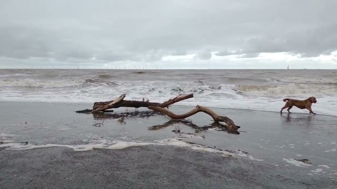 Spindrift - a haiku film  