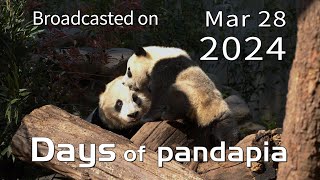 20240328 Broadcast Top Highlights 03 by pandapia HD 658 views 2 weeks ago 3 minutes, 57 seconds