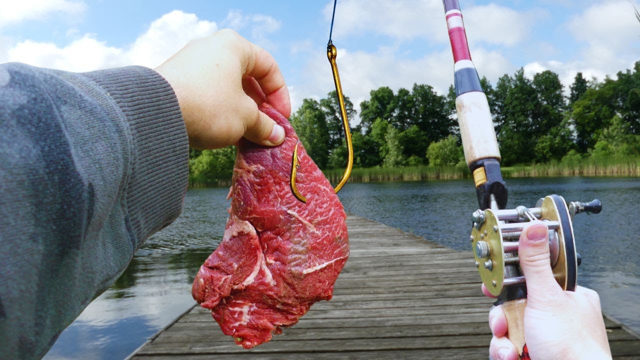 I Used Stake as Bait to fish For MONSTER BASS!!!