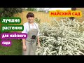 САД в МАЕ! Самые ЛУЧШИЕ растения для ВЕСЕННЕГО МАЙСКОГО САДА! Garden in May.