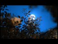 La Valse Au Clair De Lune Eric Christian 