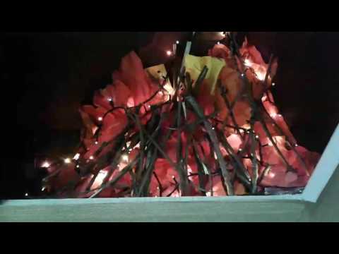 ახალი ქართული სკოლა 26.12.16