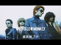 THE YELLOW MONKEY  審美眼ブギ(cover)