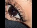رايتي سواد عينيها    اسمعها