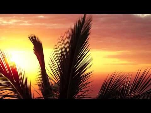 Sunlounger || Another Day On The Terrace Full Album || Downtempo Version