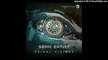 Sonic Entity & Arhetip - Concept Of Complexity (Original Mix)