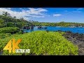 Maui Island, Hawaii - 4K Nature Documentary Film - Part #2