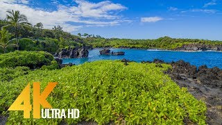 Maui Island, Hawaii - 4K Nature Documentary Film - Part #2