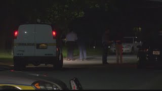 Police: 2 toddlers safe, suspect dead after domestic violence call turned standoff in Sherwood Fores Wealth