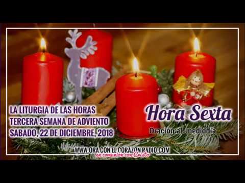 HORA SEXTA- ORACION AL MEDIODIA - SABADO 22 DE DICIEMBRE, 2018 3ª SEMANA DE ADVIENTO agradecimiento frases