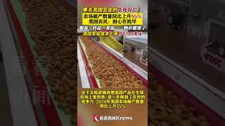 #china #外贸交流 #中美關係 事关#美国 #农业 生死存亡！农场破产数同比上升55%