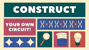 Performance Task 2: Construct Your Own Circuit!