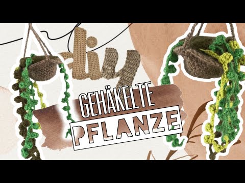 Hängepflanze häkeln 🪴 🍃, Häkel Anleitung, Crochet pattern, DIY