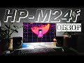 Обзор FullHD монитора HP M24f | 2022! Первое впечатление..