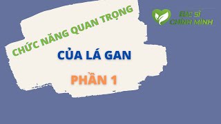 Phần 1 - Chức Năng Quan Trọng Của Lá Gan - Ngừa Ung Thư Gan | Bác Sĩ Chính Mình