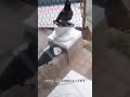 キョロちゃんの子供の足も