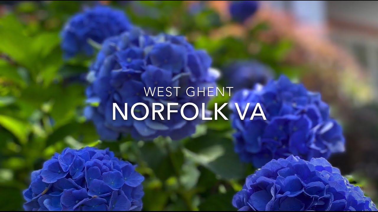 West Ghent neighborhood, Norfolk VA YouTube