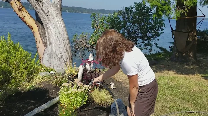 Annette waters without runoff with the WiserWand