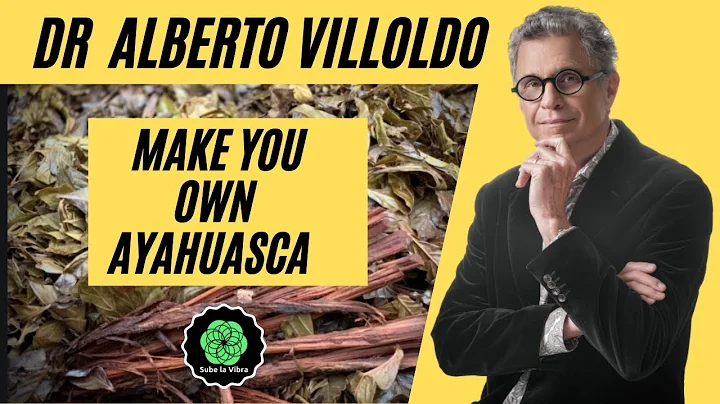 ALBERTO VILLOLDO PhD | YOU CAN CREATE  YOUR OWN AY...