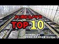 よく売れる人気メダカランキング【TOP10】2025年度売上より。埼玉県富士見市めだか屋うなとろふぁ~む.安らぎAQUAちゃんねる